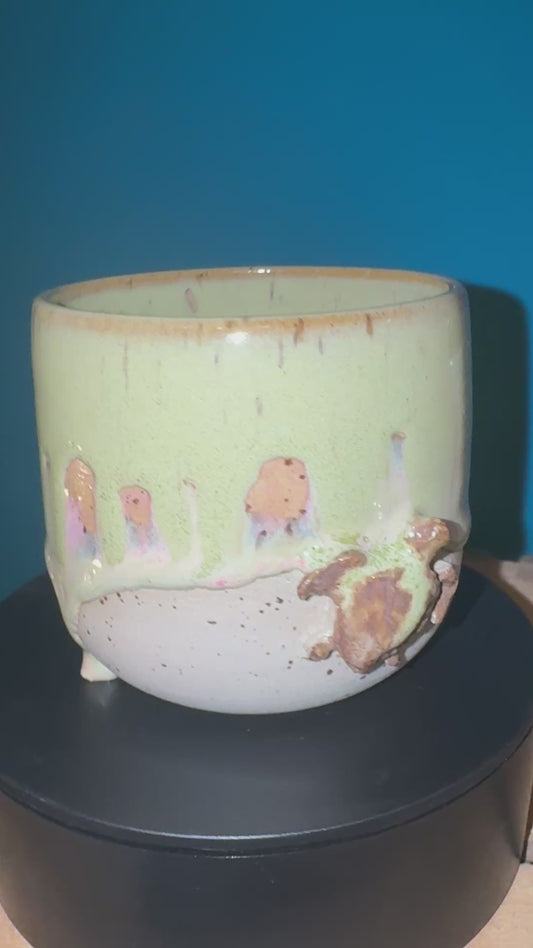 Becher Galapagos